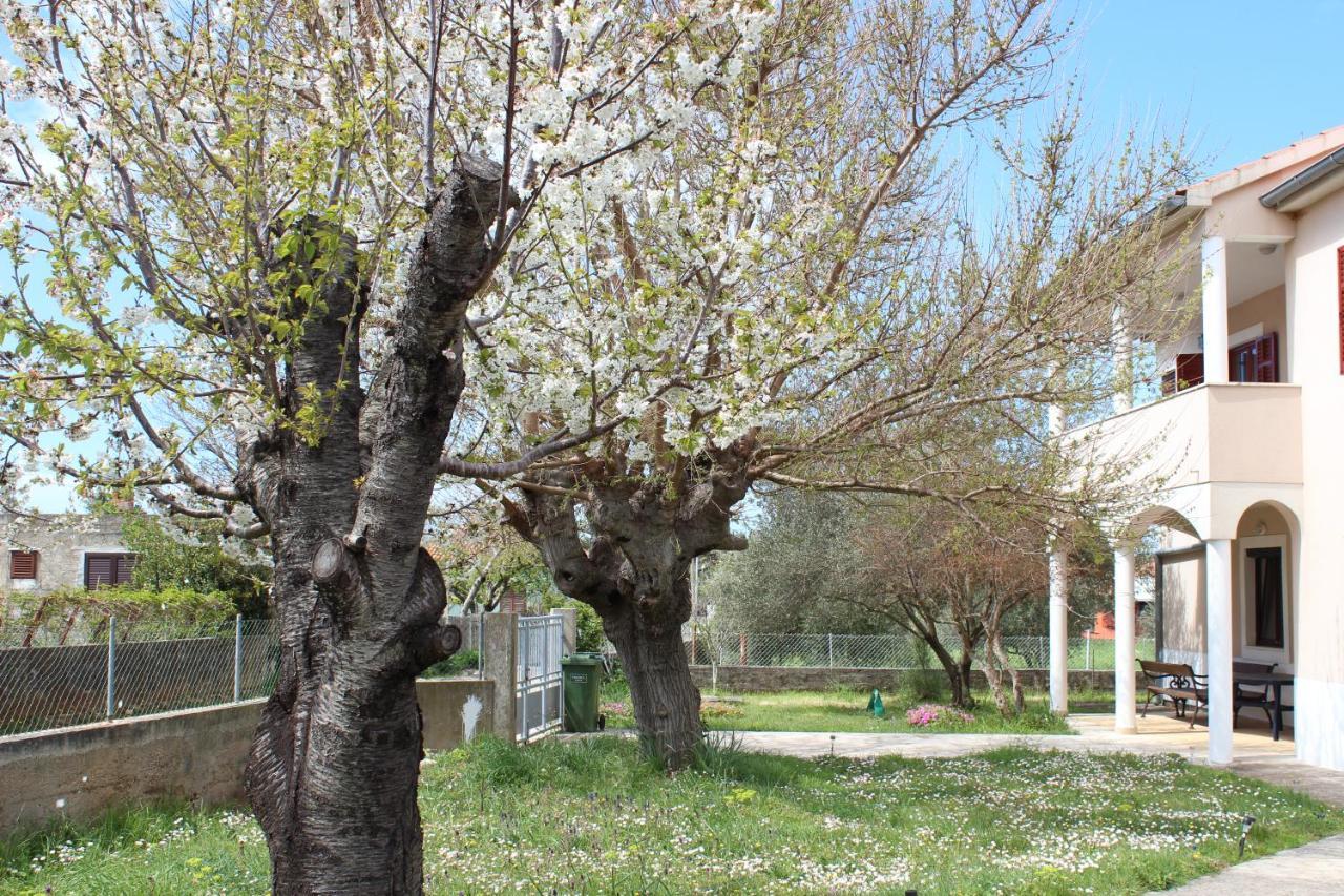זאטון Villa Blue מראה חיצוני תמונה
